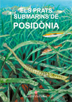 Els prats submarins de posidònia